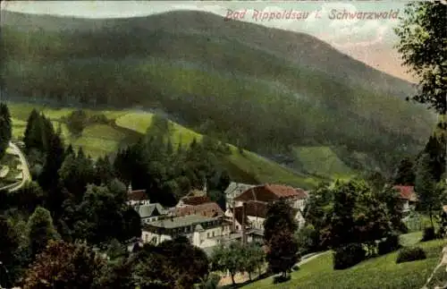 Ak Bad Rippoldsau Schapbach Schwarzwald, Panorama