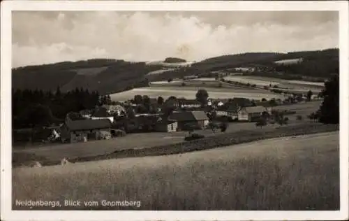 Ak Neidenberga Drognitz in Thüringen, Panorama, Blick vom Gnomsberg, Gasthaus zum Stausee