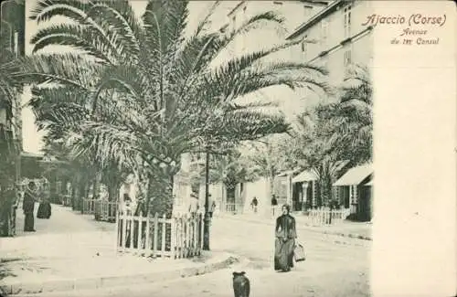 Ak Ajaccio Südkorsika, Avenue de 1er Consul