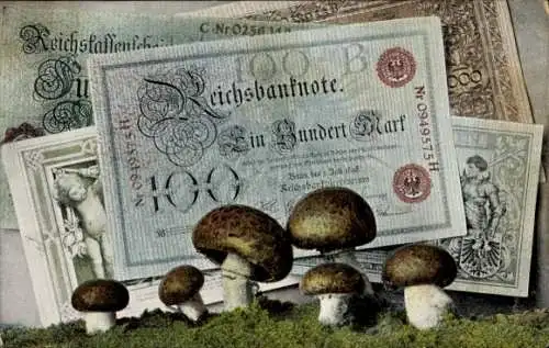 Ak Reichsbanknote, Hundert Mark, Geldscheine, Pilze