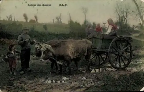 Ak Frankreich, Fuhrwerk, Rinder