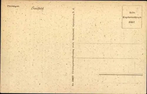 Ak Saalfeld an der Saale Thüringen, Gesamtansicht, Brücke