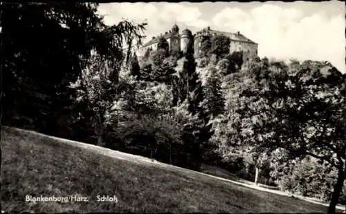 Ak Blankenburg am Harz, Schloss