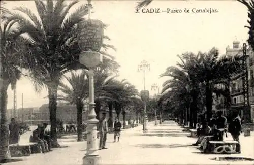 Ak Cádiz Andalucía, Paseo de Canalejas