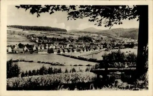 Ak Benshausen in Thüringen, Gesamtansicht