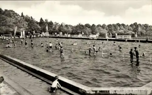 Ak Osterburg in der Altmark in Sachsen Anhalt, Waldschwimmbad