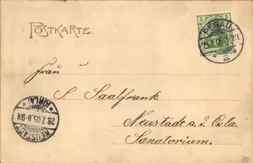 Ak Pegau in Sachsen, Schwanenteich