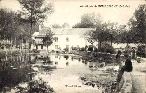 Ak Rougemont Seine et Marne, Moulin, Wasserpartie