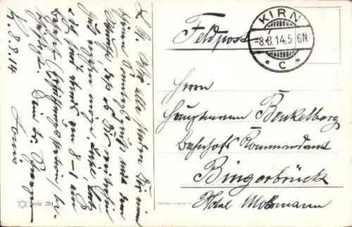 Ak Pferde, Kopfstudie, Zaumzeug, Portrait