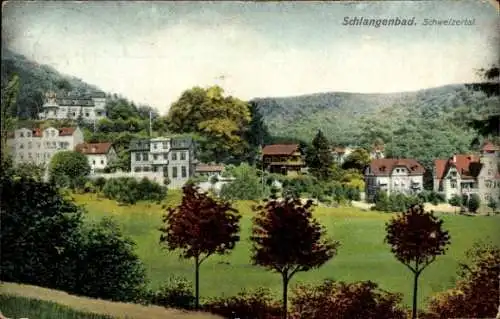 Ak Schlangenbad im Taunus, Schweizer Tal, Villen und Wald