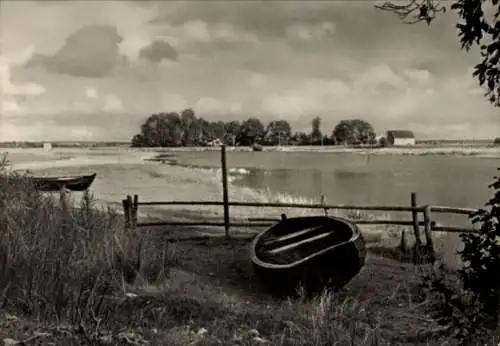 Ak Ostseebad Prerow auf dem Darß, Naturschutzgebiet, Hafen