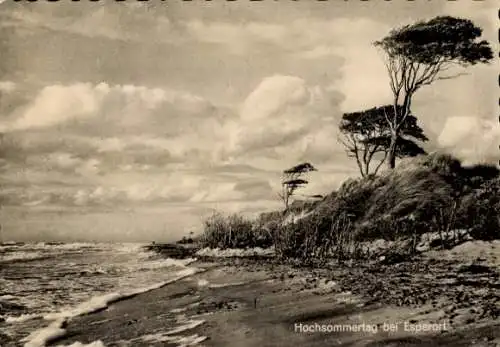 Ak Ostseebad Prerow auf dem Darß, Strand