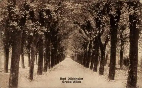 Ak Bad Dürkheim in der Pfalz, große Allee