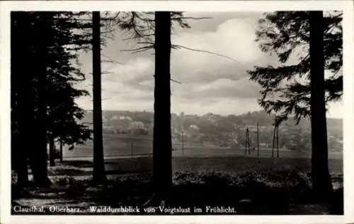 Ak Clausthal Zellerfeld im Oberharz, Wald, Voigtslust