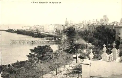 Ak Cádiz Andalucía, Alameda de Apodaca