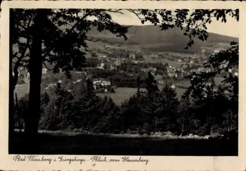 Ak Świeradów Zdrój Bad Flinsberg Schlesien, Blick vom Haumberg