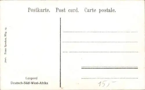 Ak Namibia Deutsch Südwest Afrika, Leopard im Schatten eines Felsens