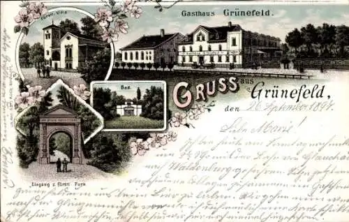 Litho Waldenburg in Sachsen, Gasthaus Grünefeld, Fürstliche Villa, Bad