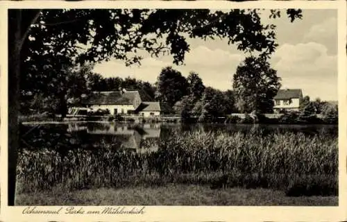 Ak Ochsensaal Dahlen im Kreis Nordsachsen, Mühlenteich, Fröhlichs Gasthof