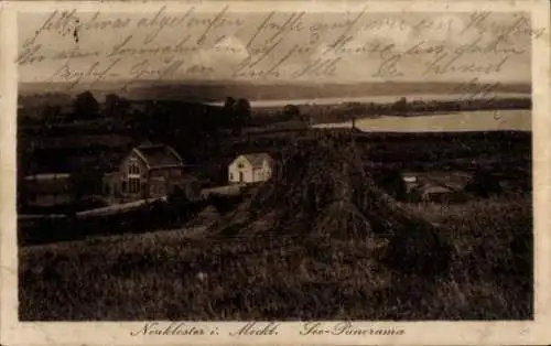 Ak Neukloster in Mecklenburg, See-Panorama, Häuser