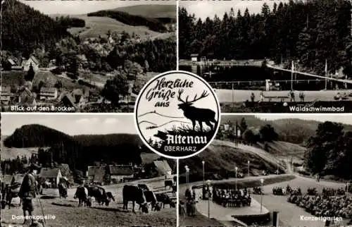 Ak Altenau Clausthal Zellerfeld im Oberharz, Brocken, Waldschwimmbad, Damenkapelle, Konzertgarten