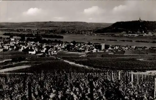 Ak Rüdesheim am Rhein, Panorama, Rochusberg mit Kapelle