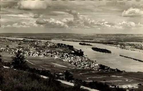 Ak Rüdesheim am Rhein, Panorama