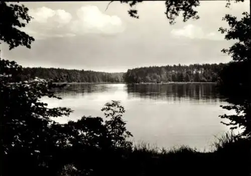 Ak Ochsensaal Dahlen in Sachsen, Dammühlenteich