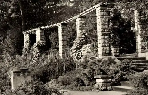 Ak Görlitz in der Lausitz, Stadtpark