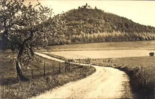 Ak Görlitz in der Lausitz, Landeskrone, Gesamtansicht