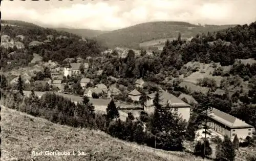 Ak Bad Gottleuba in Sachsen, Panorama