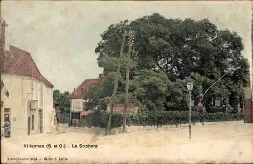 Ak Villennes sur Seine Yvelines, Sophora