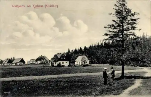 Ak Heidelberg Seiffen im Erzgebirge, Wald am Kurhaus