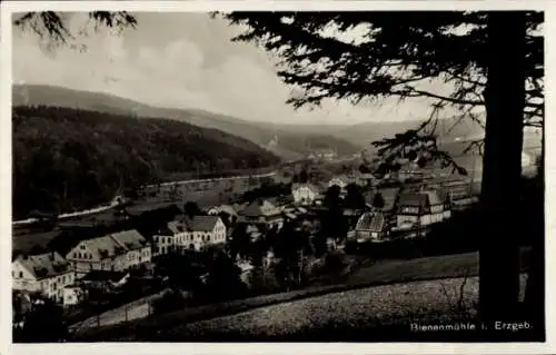 Ak Bienenmühle im Erzgebirge, Gesamtansicht