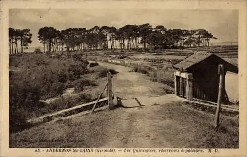 Ak Andernos les Bains Gironde, Les Quinconces, reservoirs a poissons