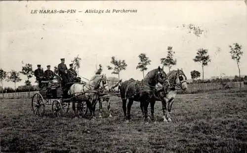 Ak Le Pin au Haras Haras du Pin Orne, Attelage de Percherons