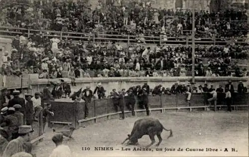 Ak Nîmes Gard, Arenes, Un jour de Course libre, Stier