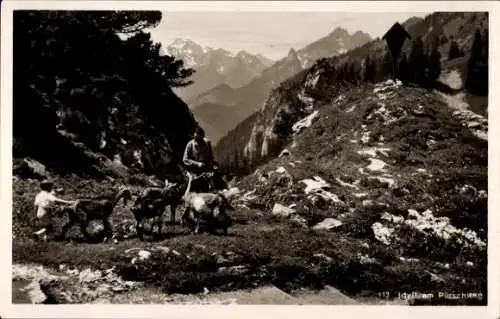 Ak Idyll am Pürschling, Bergziegen, Kind