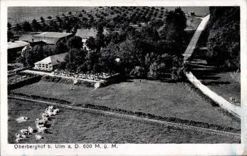 Ak Oberberghof Ulm an der Donau, Fliegeraufnahme