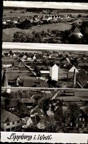 Ak Lippborg Lippetal in Westfalen, Gesamtansicht