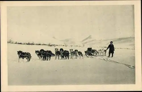 Ak Alaska USA, Wagons lits de l'Arctique, Hundeschlitten