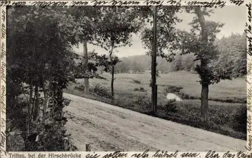 Ak Trittau in Schleswig Holstein, Hirschbrücke, Teilansicht