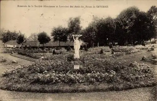 Ak Saverne Zabern Elsass Bas Rhin, Roseraie de la Societe Alsacienne et Lorraine des Amis des Roses