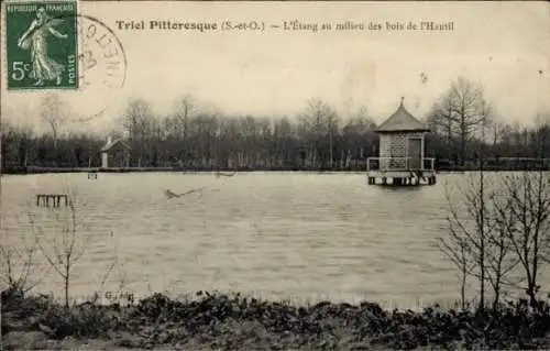 Ak Triel sur Seine Yvelines, Etang au milieu des bois de l'Hautil