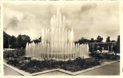 Ak Chemnitz in Sachsen, Schlossteich Anlagen, Springbrunnen