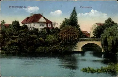 Ak Senftenberg in der Niederlausitz, Parkanlagen, Brücke, Wohnhäuser