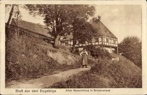 Ak Brüderwiese Deutschneudorf im Erzgebirge, Weg zum Alten Bauernhaus