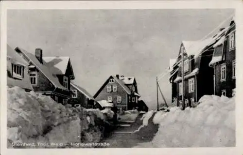 Ak Steinheid Neuhaus am Rennweg Thüringen, Hohewartstraße, Schnee