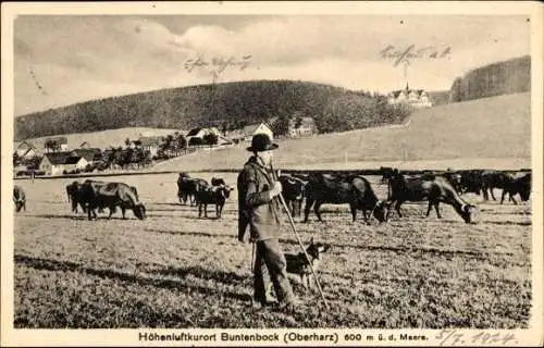 Ak Buntenbock Clausthal Zellerfeld Oberharz, Kuhherde, Hirte mit Hund