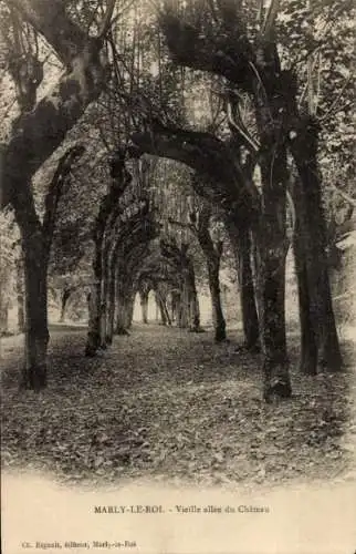 Ak Marly le Roi Yvelines, Vieille allee du Chateau